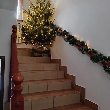 Noclegi U Brody Hoczew Εξωτερικό φωτογραφία